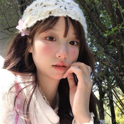 我私人的爱达荷
